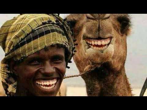 Best Funny Selfie with animals