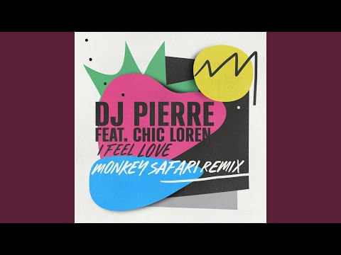 I Feel Love (Monkey Safari Remix)
