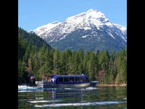 Grimm Doza - Mobb Ties