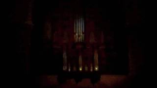 19.Pipe organ, Cathedrale Notre-Dame & Saint-Castor, Nimes, France