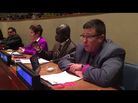 UN's Third Review Conference on the Programme of Action on Small Arms and Light Weapons | SHELDON CLARE