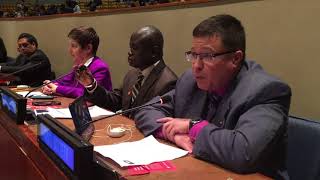 UN's Third Review Conference on the Programme of Action on Small Arms and Light Weapons | SHELDON CLARE