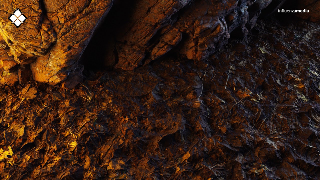 Mutt & Kelmo - Come Back to Me