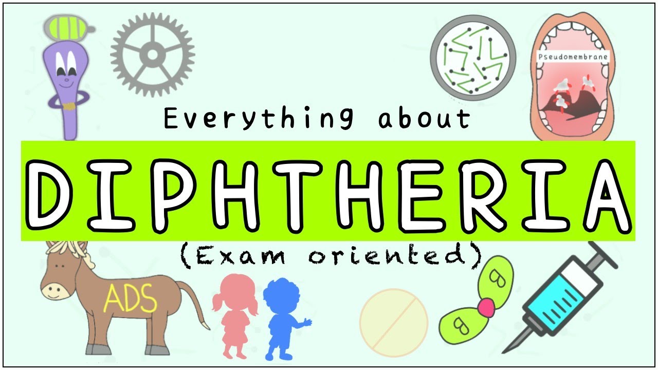 Corynebacterium diphtheriae: Morphology, Pathogenesis, Clinical features, Diagnosis, Treatment