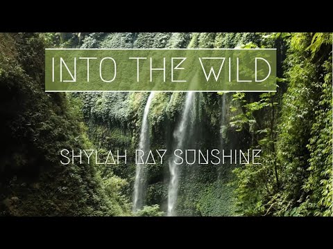 Shylah Ray Sunshine- Into The Wild [Lyric Video]