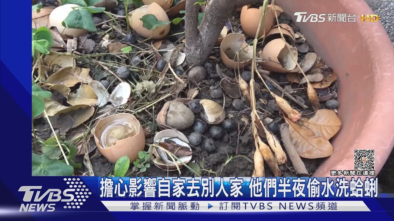 神邏輯 擔心影響自家去「別人家」 他們半夜偷水洗蛤蜊