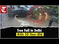 50-year-old man dies, daughter injured after huge tree falls on vehicles in Kalkaji
