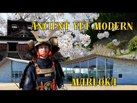 This is Maruoka! A Sakura Samurai Castle Town | Fukui