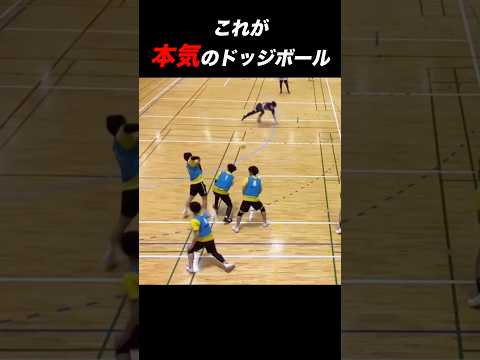 【まじかよ…】これが本物のドッジボールの世界
