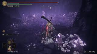 エルデンリングDLCを全力で楽しむ Part5(終)
