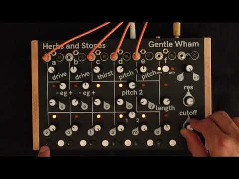 Herbs & Stones Gentle Wham Six Voice Analog Drum Synthesiser image 3