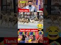 Part 1 Street Dog Vs Dog Lovers Dog Doglovers Neeya Naana Trending Shorts Troll