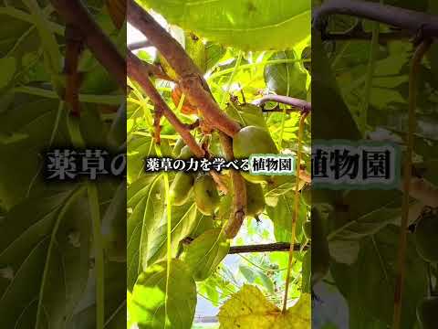 私が愛した場所を是非皆さんに知って欲しい！