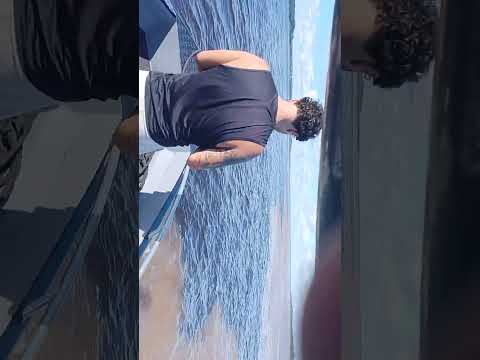 Amazonas encontro do rio solimões com rio negro 