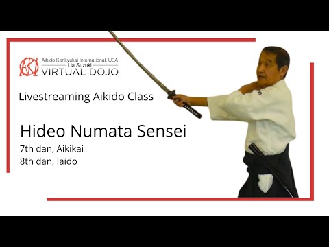 Aikido and Iaido: How do they relate? Japanese Master via Zoom