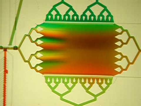 Microfluidic transition from slow to fast laminar flow [Folch lab]