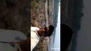 preview picture of video 'Rajrappa mandir ki damodar river ka seen'