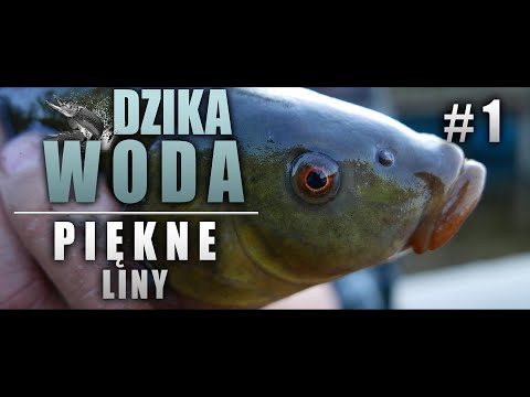 Call of Nature - let's go fishing!