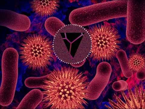 ENiGMA Dubz ft. Ghette - High Grade [FREE DANK 'N' DIRTY DUBZ EP]