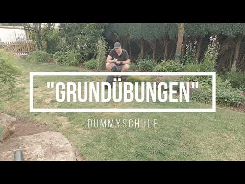 Hundetraining: Grundübungen für Welpen/Hunde - Sitz, Platz, Bleib, Fuß, Hier