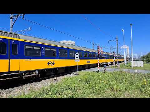 11-06-2022, Houtrakpolder: ICM 4203, 4027, 4034, 4013 & Strukton 303007 "Demi"