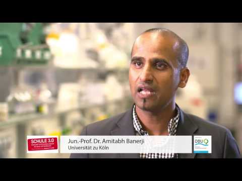 Jun.-Prof. Amitabh Banerji  zum Thema OLEDs und Energiewende