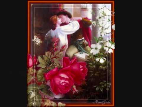 Geh nicht in den Rosengarten / Siw Malmquist