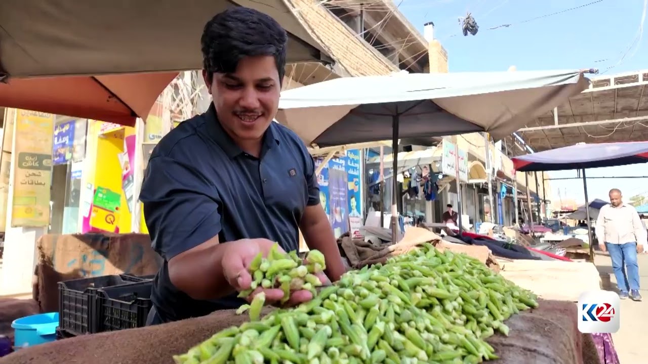ڤیدیۆ | جووتیارانی سەماوە بەرهەمی بامییە دەخەنە بازاڕەکان