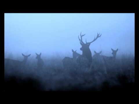 Anastasia - Pass Over