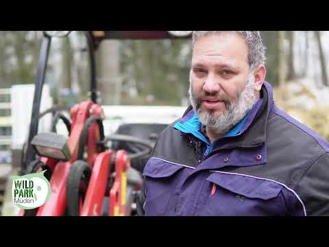 Wir suchen Unterstützung! - Tierpfleger - Fachrichtung Zoo