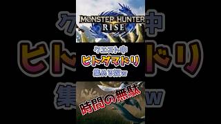 【MHSB】３乙しがちな初心者ほど間違えます【解説】 #モンハンライズ#ゲーム実況 #vtuber #ゲーム実況 #実況 #モンハン #モンハンサンブレイク