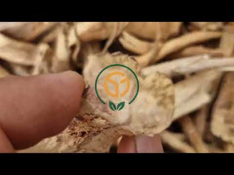 Roots and powder dry ashwagandha root, pp bag, 100 g