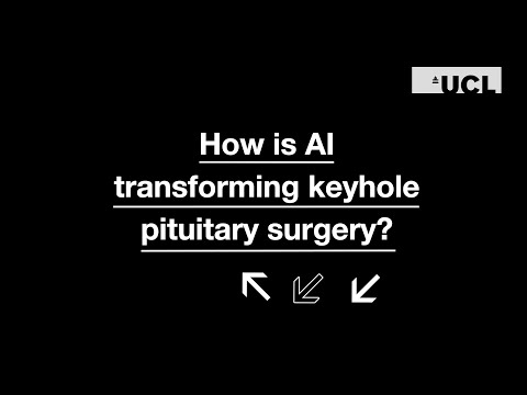 How can AI aid Endoscopic Pituitary Surgery?