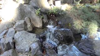 preview picture of video '[ZR-850]江島神社 弁財天黄金浄水[Full HD] -The fountain in Enoshima Shrine-'
