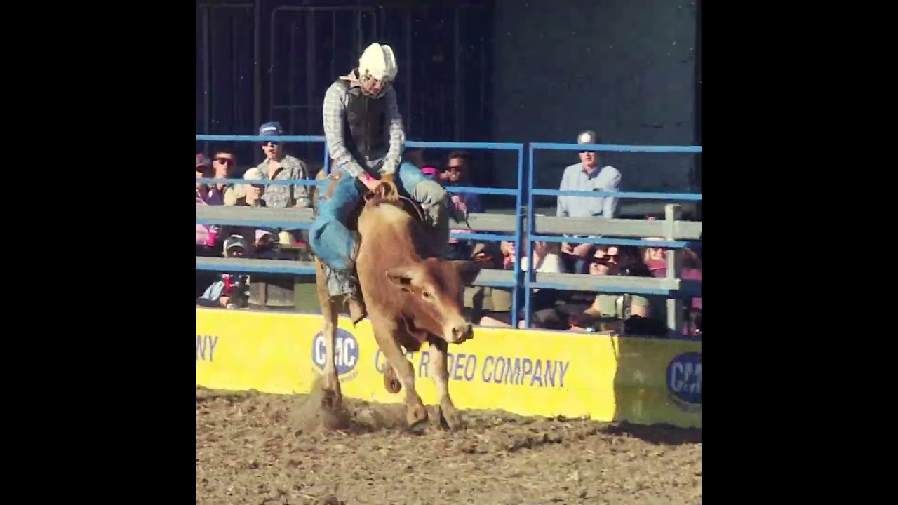 Crows Nest Rodeo — Barrel Racing