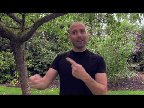 Taking Your Power Back – Releasing the Judgments of Others: A–Z of Energy Series