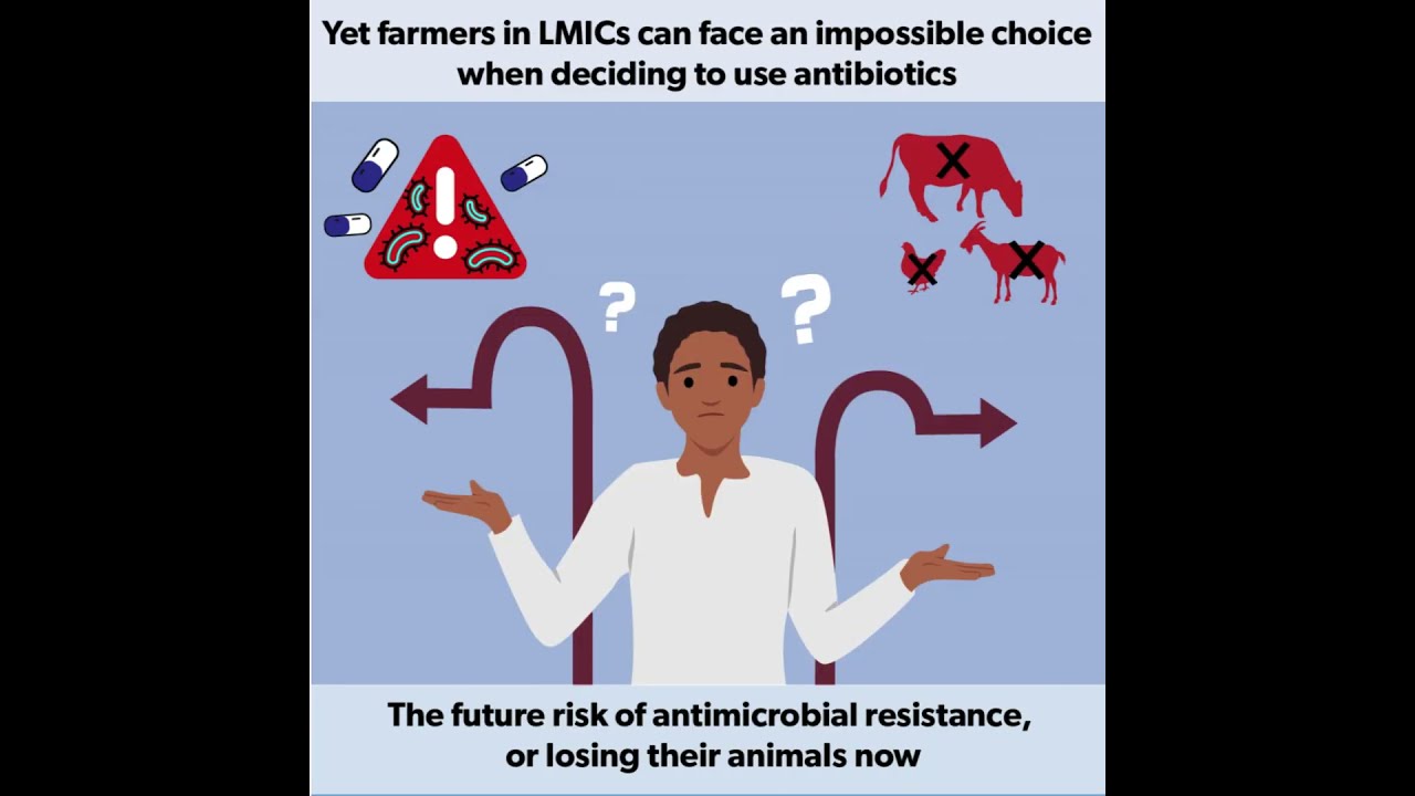 Antimicrobial resistance - a wider lens #farming #antimicrobialresistance