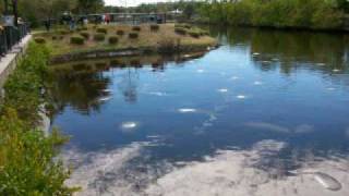 MANATEE PARK (North Fort Myers FL)
