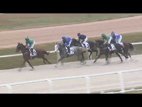 2022.11.27. 02. futam - TOTALIZATŐR HENDIKEP (Elit o.) (szintetikus pálya)