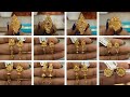gold earrings design।। gold tops earrings design।। gold ring for women। ladies ring design।kaner dul