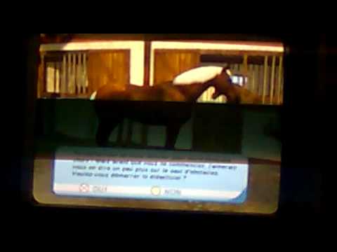 Riding Star : Competitions Equestres PC