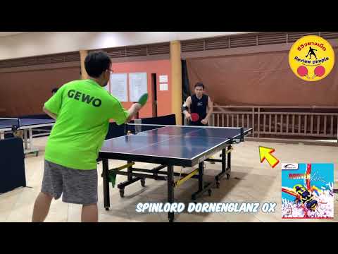 Test Long Pimple “ Spinlord Dornenglanz Ox “