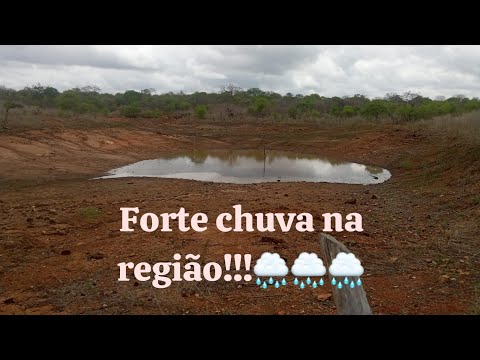 Uma forte chuva atingiu o sertão dos Inhaúmuns Tauá Ceará 🌵🌧️ 