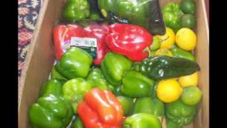 Lily of the Valley Tijuana Orphanage Thanks Sons of Thunder Ministries