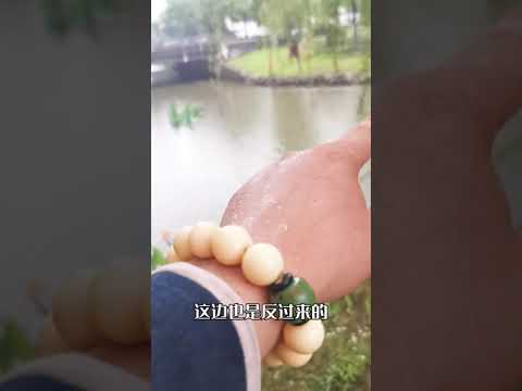 白虎橋