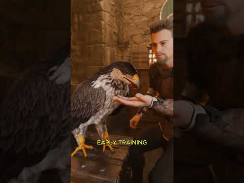 Falcons Stressed Out By This Ancient Technique 🦅