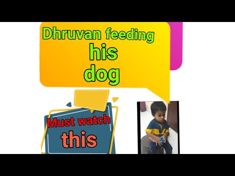 Dhruvan feeding his dog
