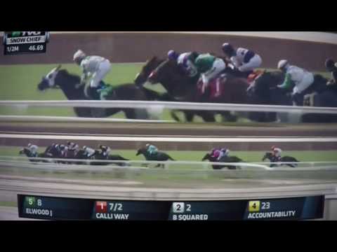 SNOW CHIEF S, G-STAKES $200,000 2017 - MARCKIES WATER !!!