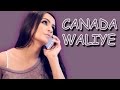 CANADA WALIYE Harf Cheema Stand Jatt Da Panj Aab Records Latest Punjabi Song 2016