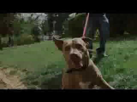 zoken ma tess est sale new 2008